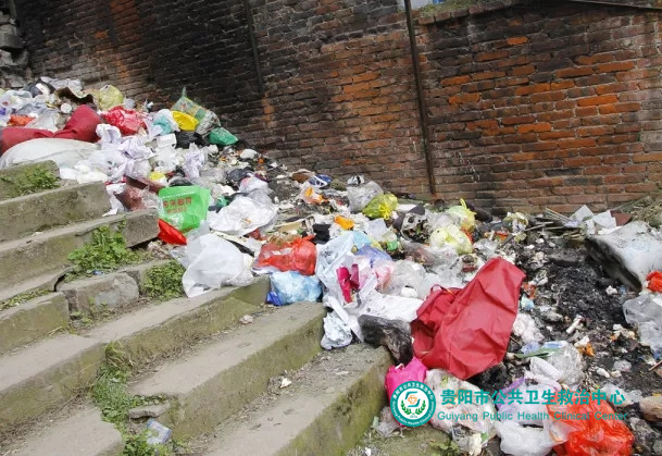 1560213930486990.jpg 640.webp (4).jpg