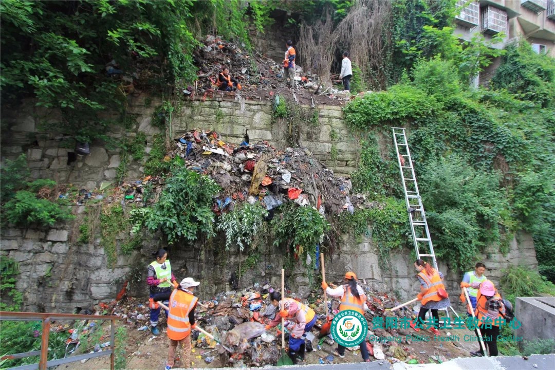 1560213982668455.jpg 640.webp (7).jpg