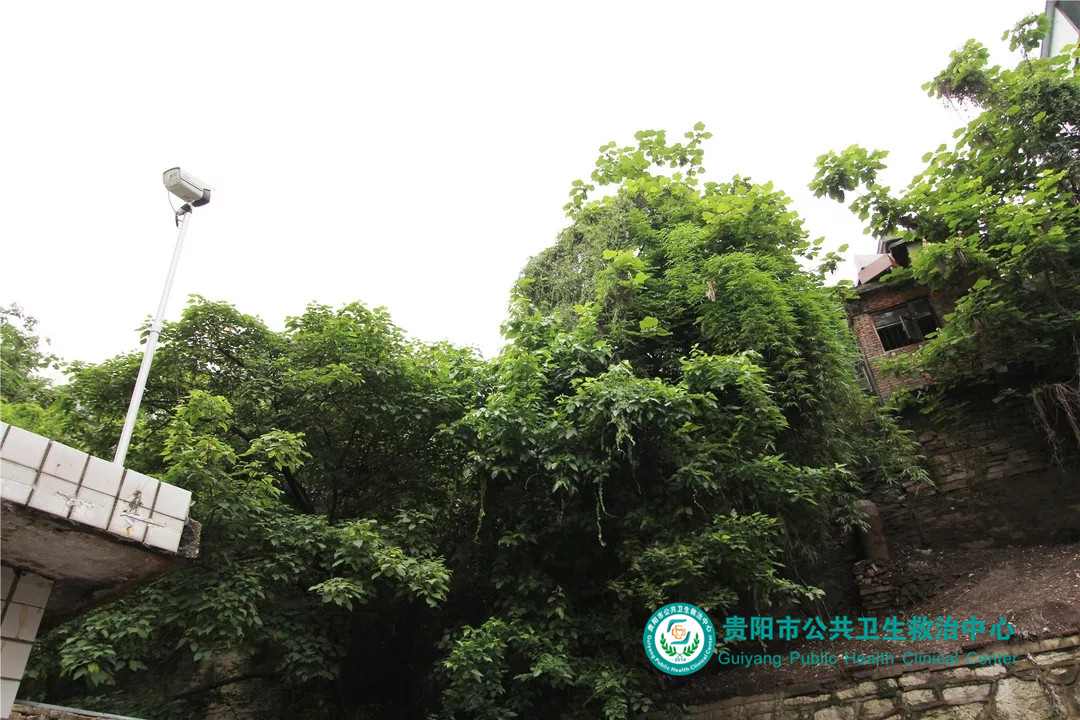 1560214040142564.jpg 640.webp (12).jpg