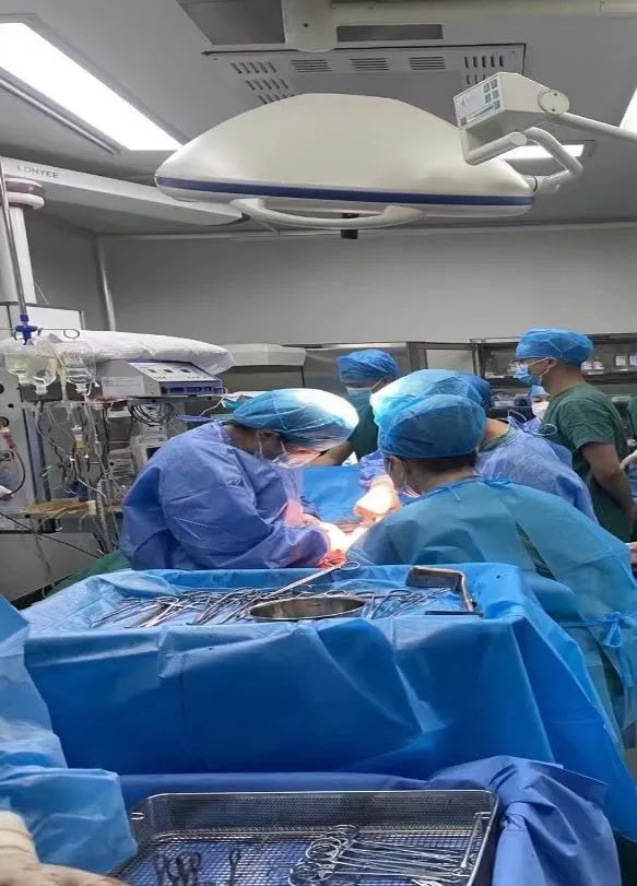 1692587904323609.jpg 1.jpg