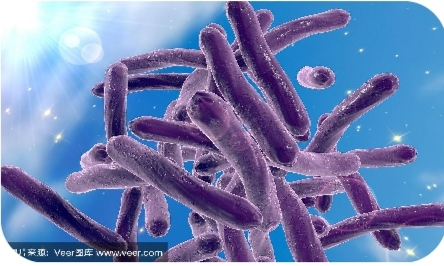 1697769737232921.png 2.png