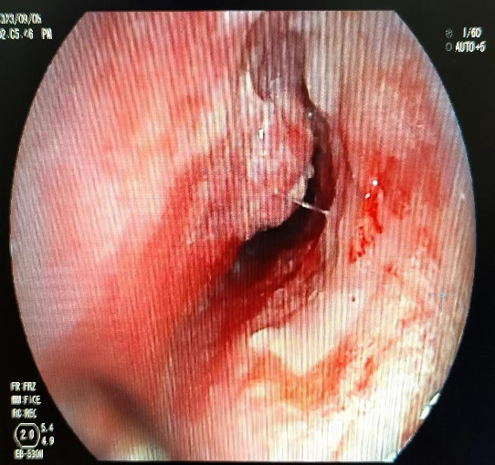 1697770486321926.png 1.png