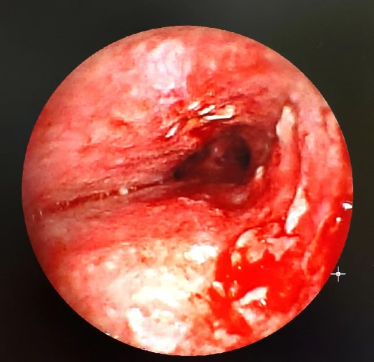 1697770497590252.png 3.png