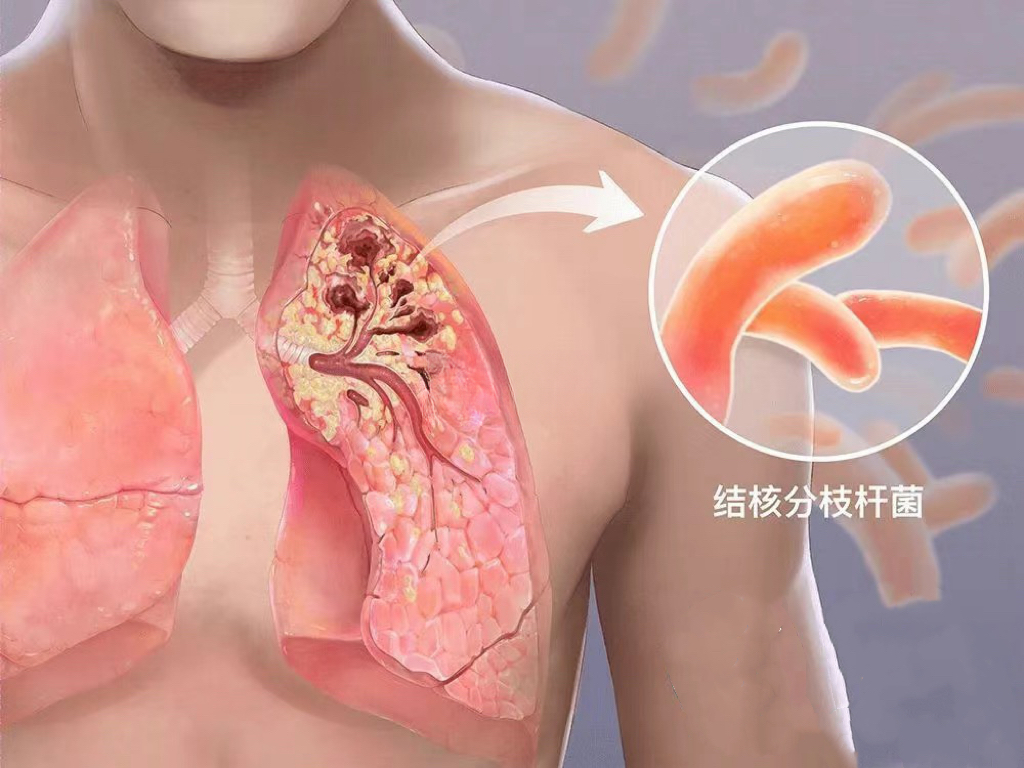 1697772131558861.png 1.png