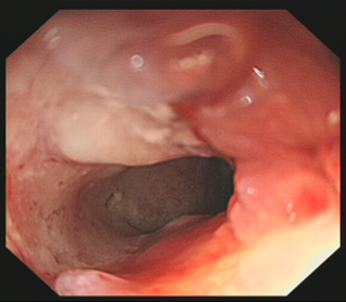 1699586222524058.png 1.png