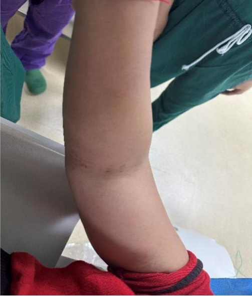 1702994012773791.png 1.png