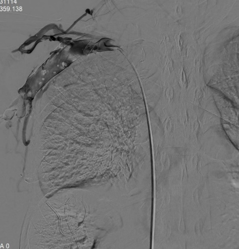 1702994029403753.png 3.png