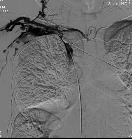 1702994043104440.png 5.png