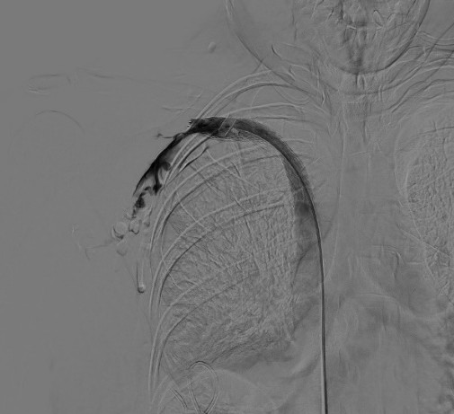 1702994051541944.png 6.png