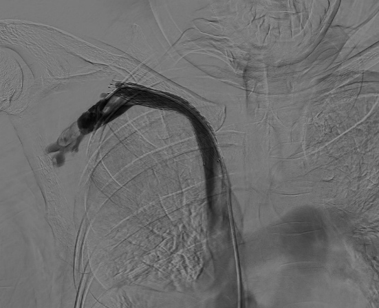 1702994060463461.png 7.png