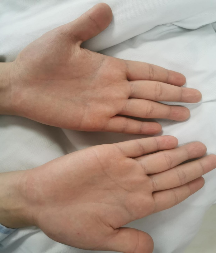 1702996525247501.png 3.png