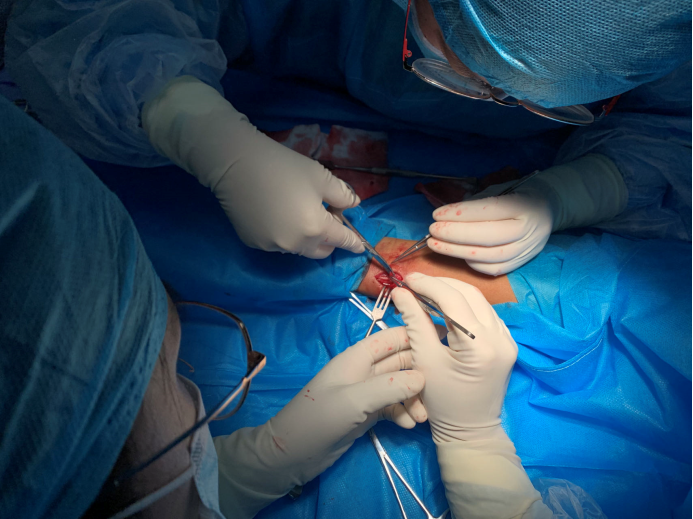 1705658045615220.png 1.png