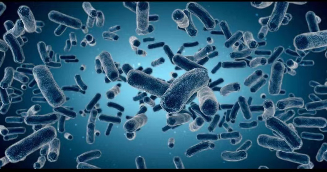 1705659398805432.png 2.png