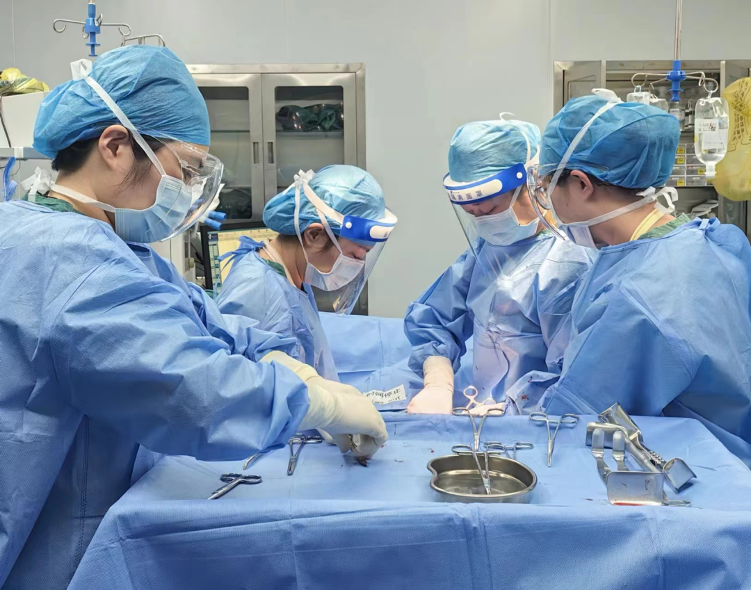 1706873491643127.png 1.png