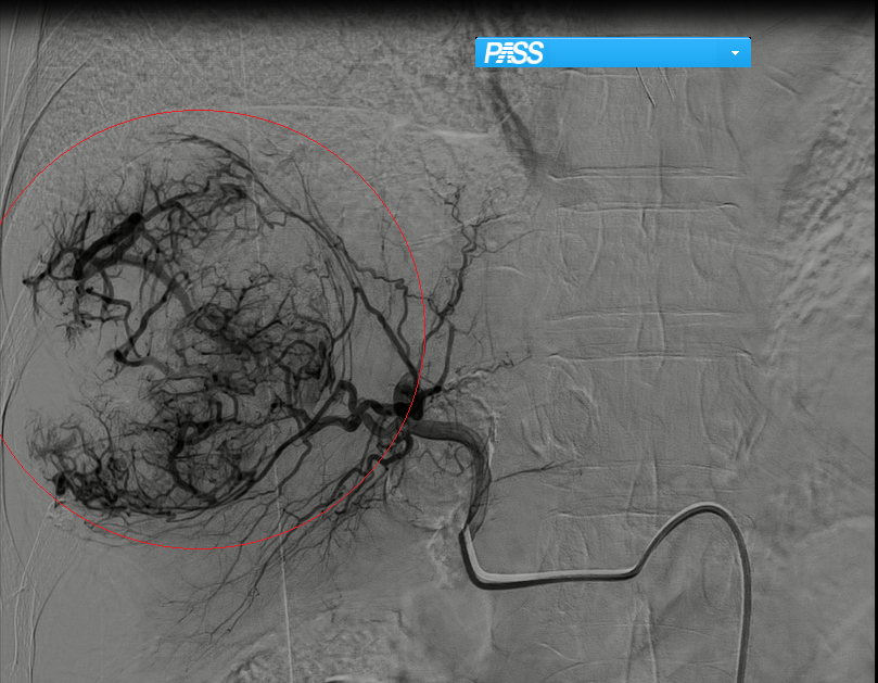 1711088331953766.png 5.png