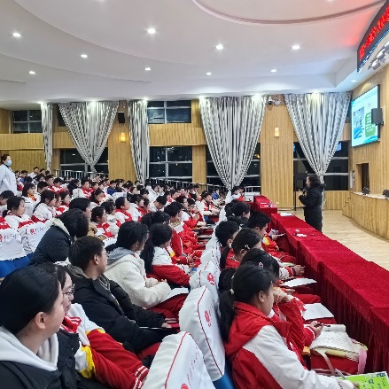 1711088510868102.png 5.png