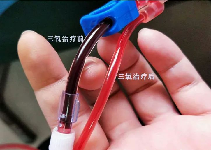 1734186426128609.png 圖片4.png