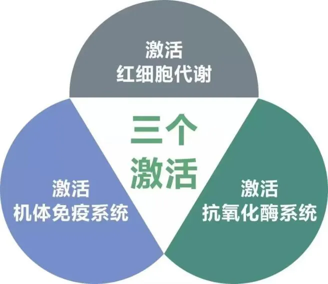 1734186436515069.png 圖片5.png