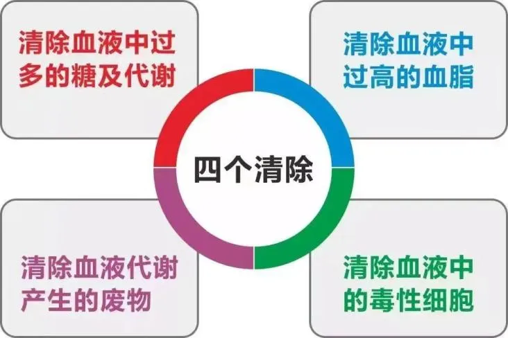 1734186446318722.png 圖片6.png