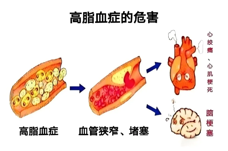 1734186492787273.png 圖片11.png