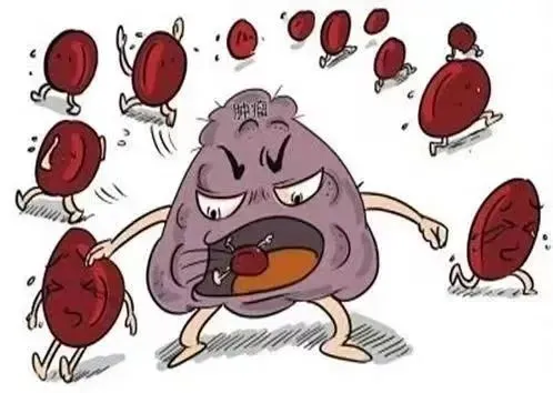 1734186508985742.png 圖片13.png