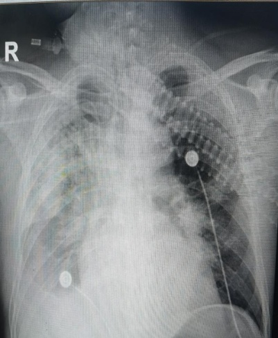 1737881180917701.png 1.png