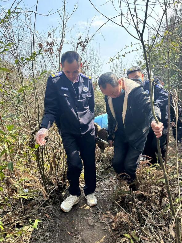 1740569624611233.png 圖片2.png