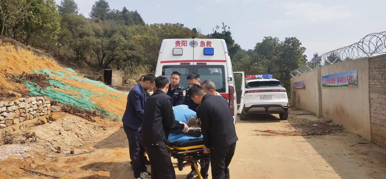 1740569631766047.png 圖片3.png