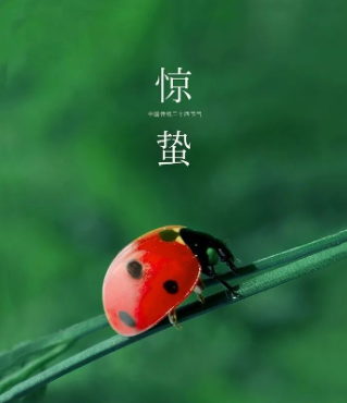 1741523888600506.png 圖片1.png