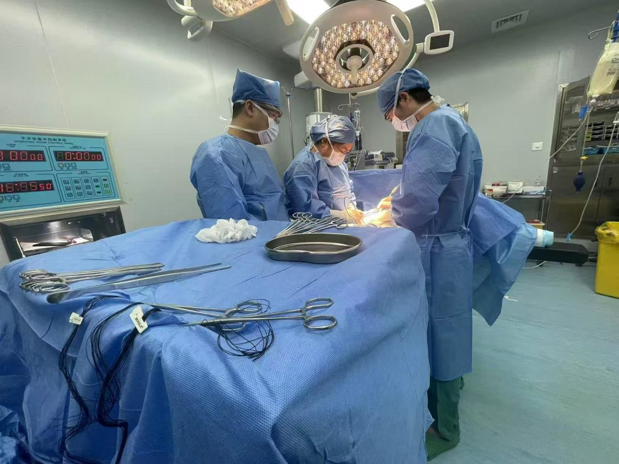 1748508024474382.png 圖片1.png