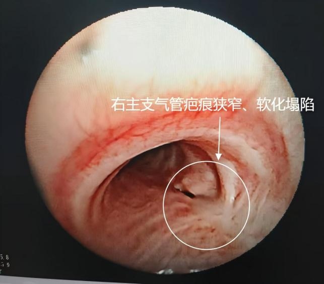 1754548701121317.png 圖片3.png