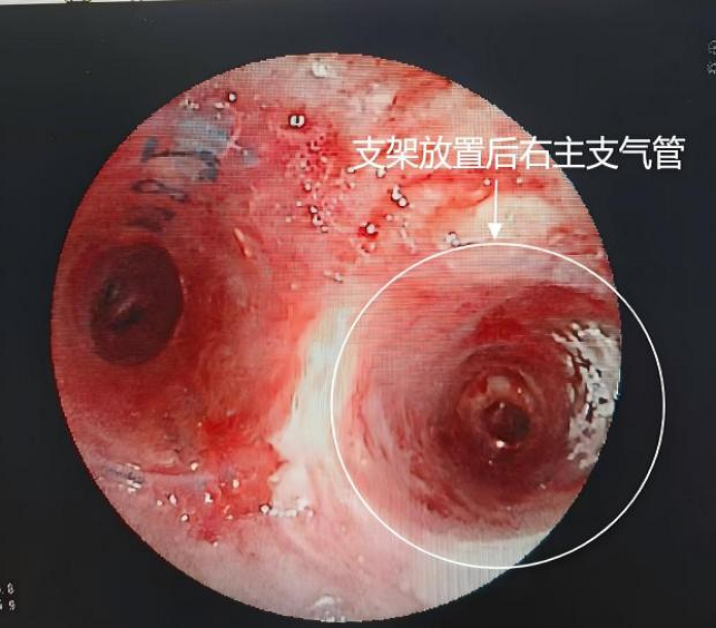 1754548709671452.png 圖片4.png