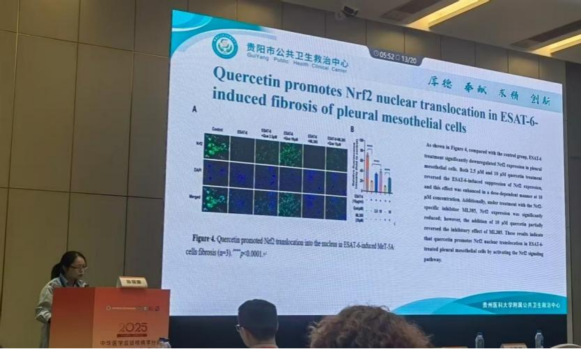 1755756773162969.png 圖片7.png