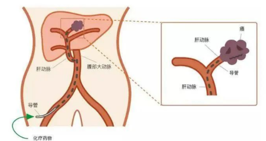 1758194037816708.png 圖片1.png