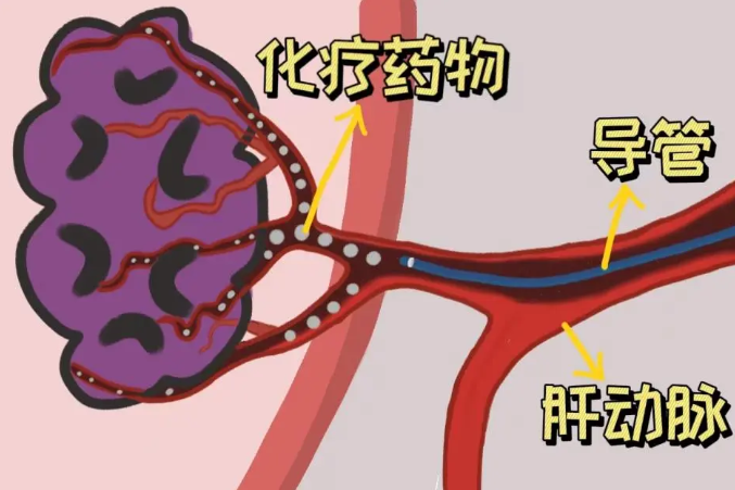 1758194044632675.png 圖片2.png