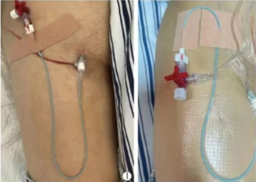 1758194097332545.png 圖片6.png