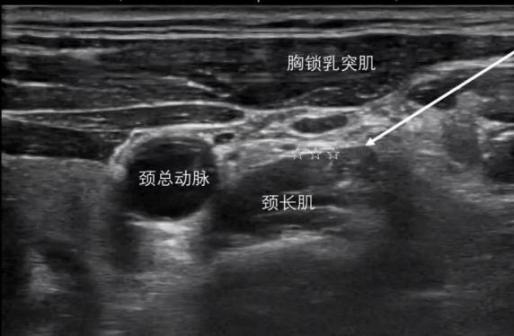 1758208284564740.png 圖片7.png