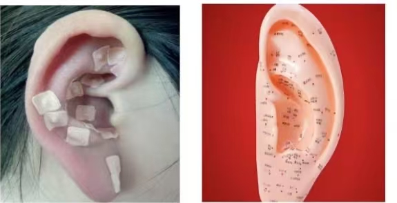 1758208302411619.png 圖片10.png