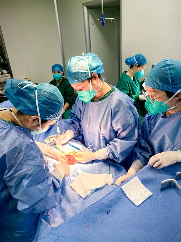 1761809339188353.png 圖片2.png