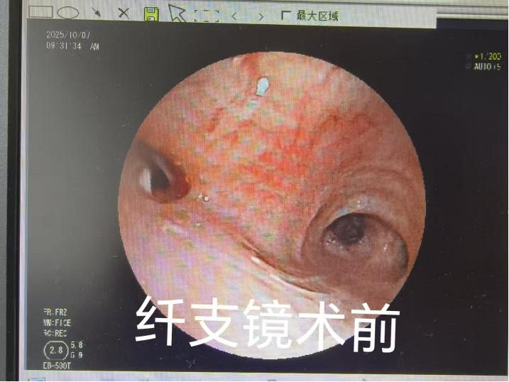 1763110647366373.png 圖片3.png